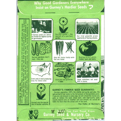 Vintage UNOPENED Seed Packet Gurney Seeds Pennisetum Ruppelii Fountain Grass SE5