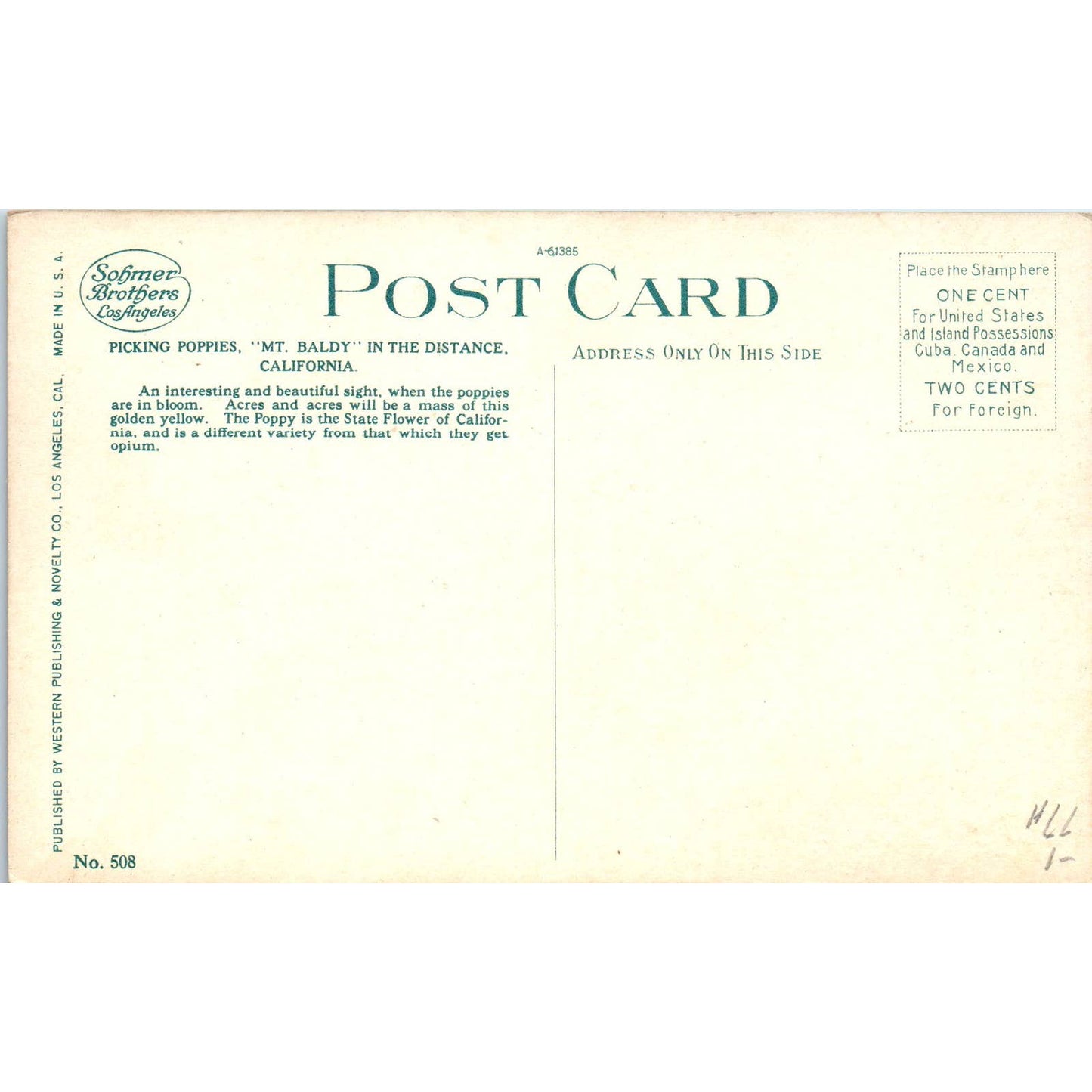 Picking Poppies Near Mt. Baldy California c1910 Original Postcard TK1-P20