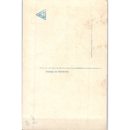 BUONA Pasqua Happy Easter Italian Boy Chicken Original Postcard TK1-P13