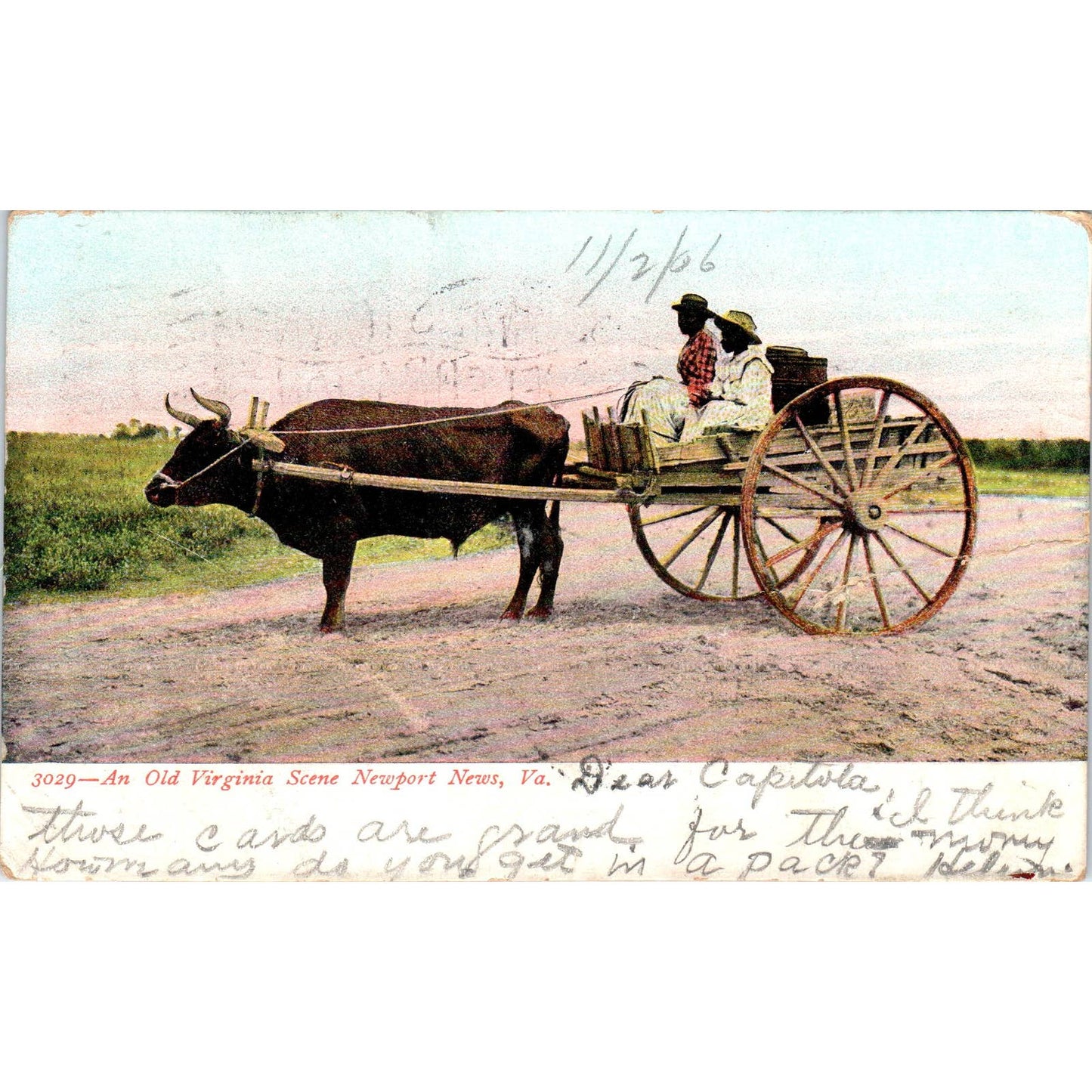 Newport News VA 1906 Sharecroppers Freedmen Ox Cart Original Postcard TK1-28
