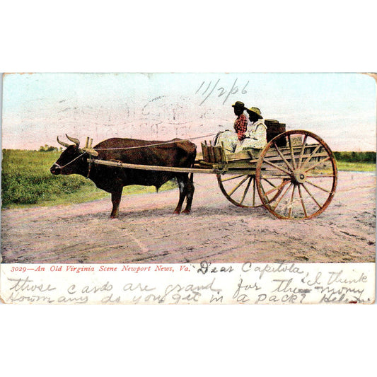 Newport News VA 1906 Sharecroppers Freedmen Ox Cart Original Postcard TK1-28