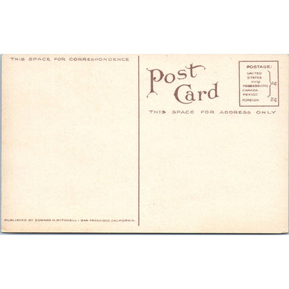 Antique Postcard Loads of Salmon in the Traps Bellingham Washington TD9