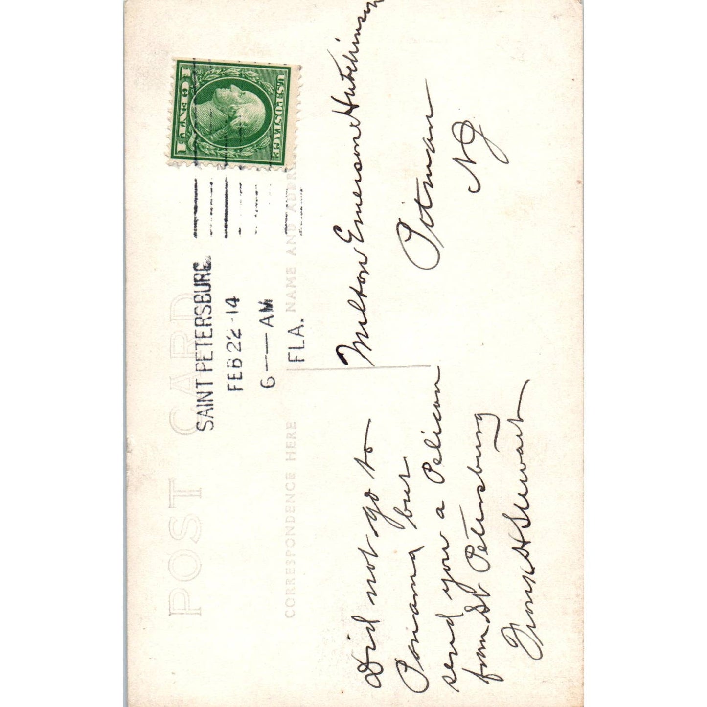 St. Petersburg FL Pelican 1914 RPPC Original Postcard TK1-P1