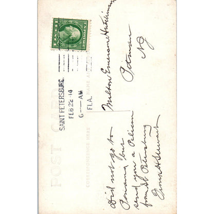 St. Petersburg FL Pelican 1914 RPPC Original Postcard TK1-P1