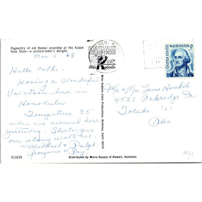 Hawaii Kodak Hula Show 1960s Original Postcard TK1-P12