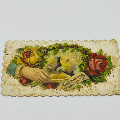 1880's VICTORIAN CALLING CARD Die Cut Pigeons Roses Miss Sophie Bawer AH9-M9