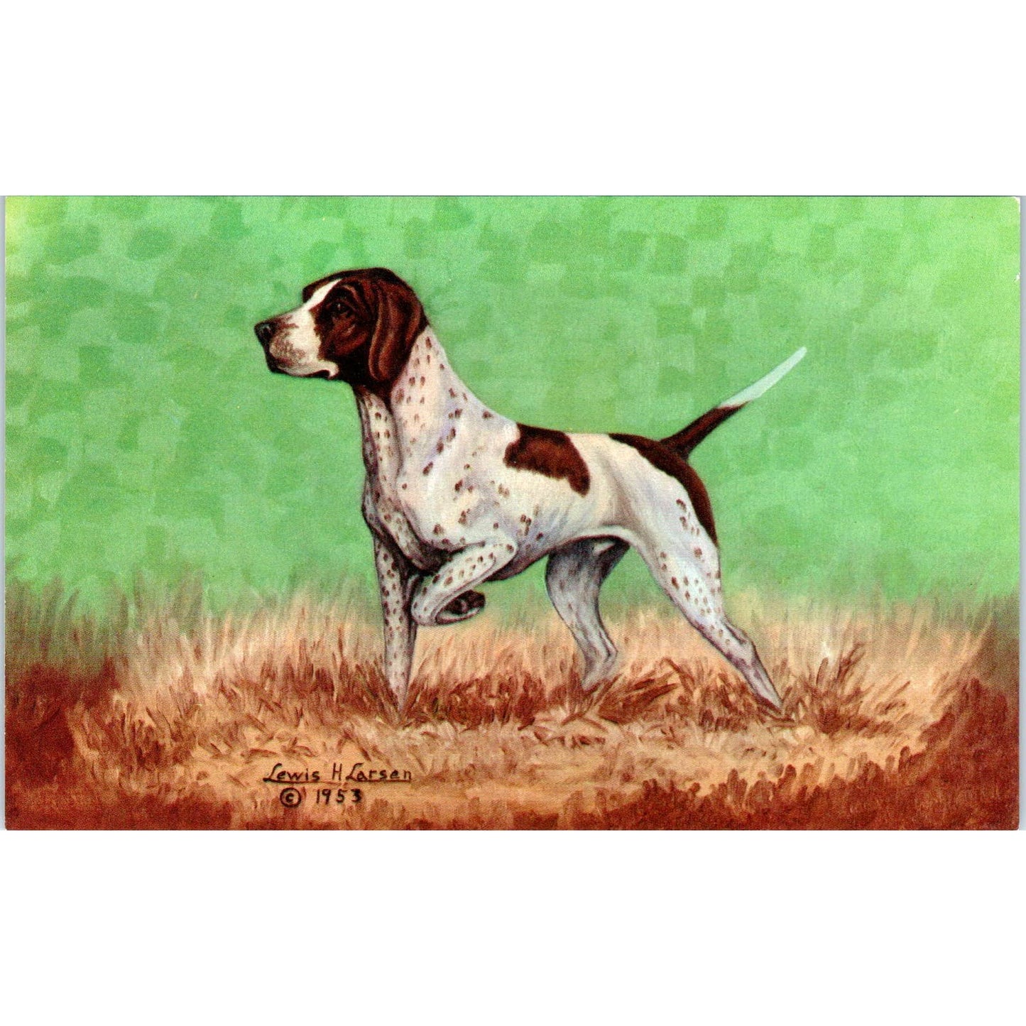 Lewis H. Larsen 1953 Pointer Dog Painting Original Postcard TK1-27