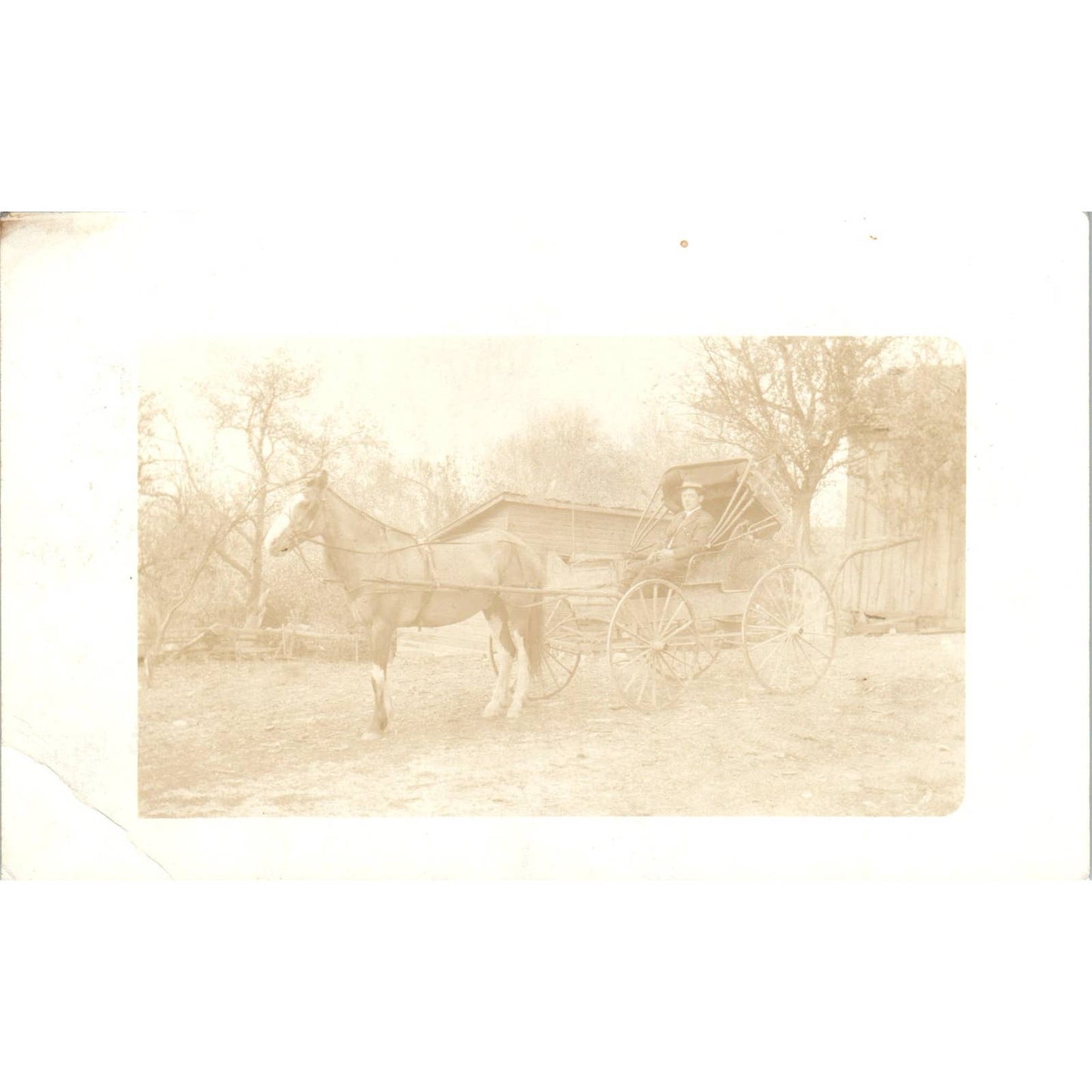 Antique Postcard RPPC Man in Horse Drawn Buggy SE8