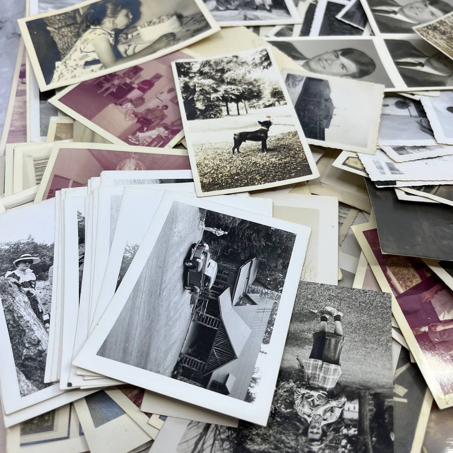 HUGE Lot Hundreds of Antique Photos CDV Cabinet Cards Photo Books 8+ Pounds