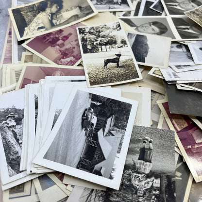 HUGE Lot Hundreds of Antique Photos CDV Cabinet Cards Photo Books 8+ Pounds