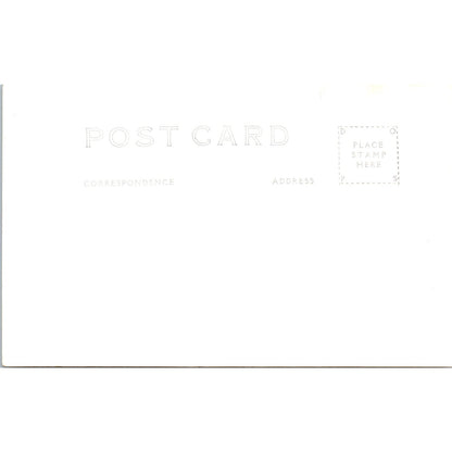 Antique Postcard The White Sands of New Mexico RPPC PE8