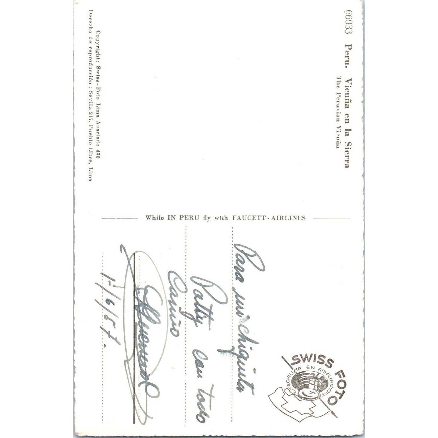 Peru Peruvian Alpaca Llama - Original Postcard TJ9-P1