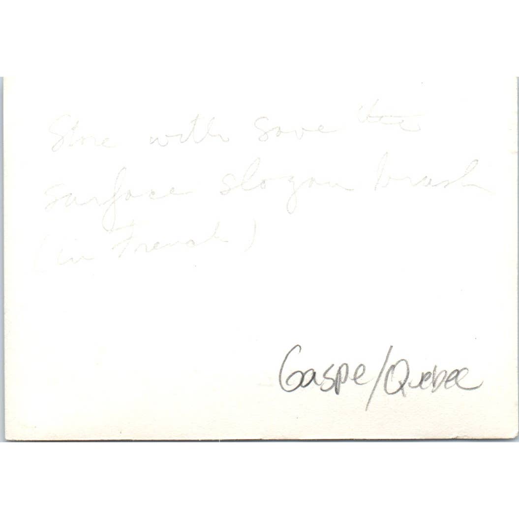 c1932 Original Photo of J.J. Beaudoin Shop in Gaspe/Quebec Area 2.5x3.5 TJ9-PG7