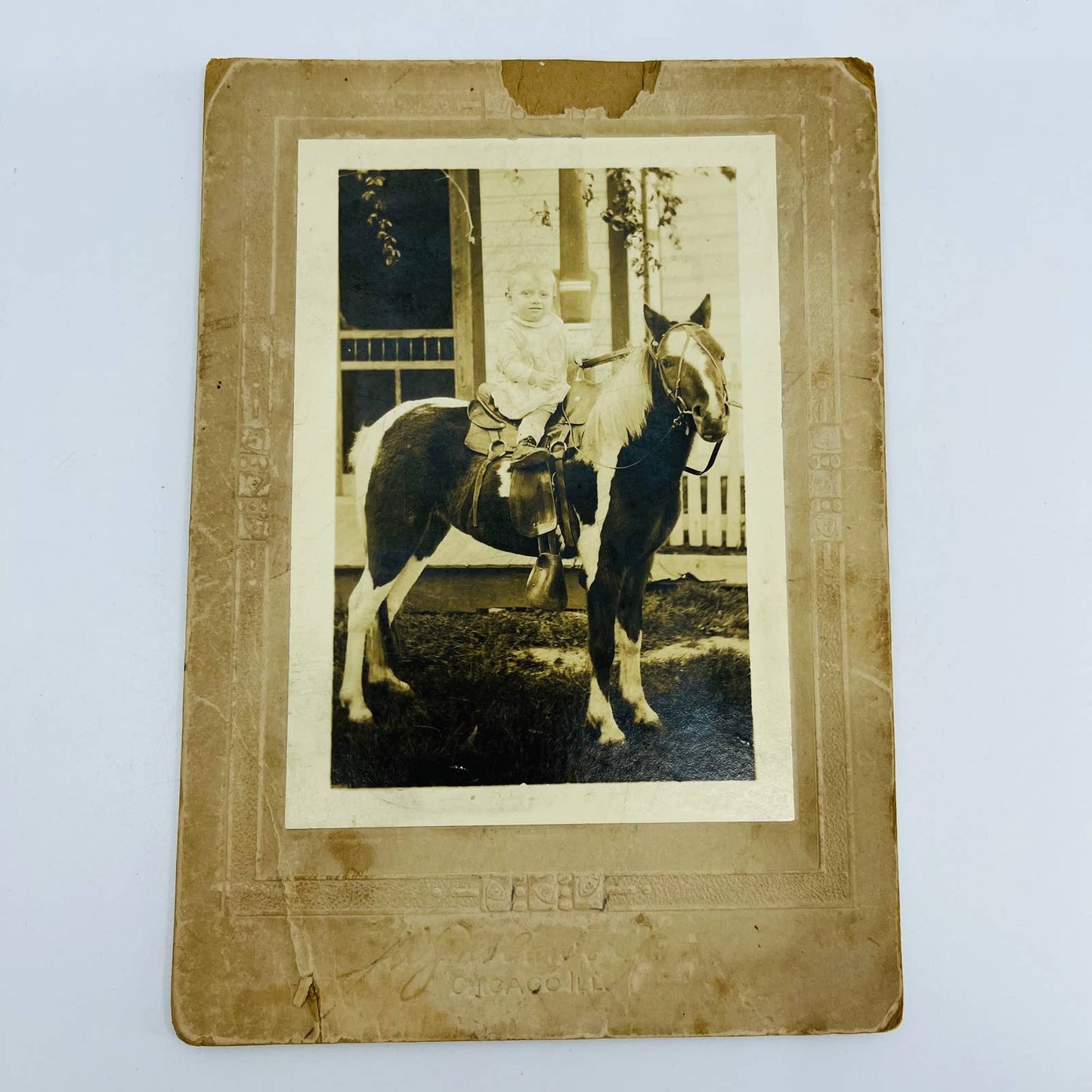 1900s Victorian Photograph Young Toddler Riding Pony Chicago IL 3.5 x 5” C10