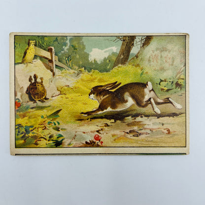1880s Trade Card Commonwealth Life Insurance Louisville Hare & Tortoise AH9-M8