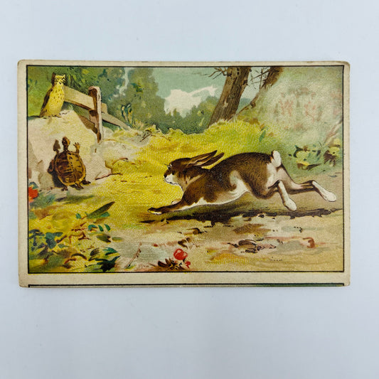 1880s Trade Card Commonwealth Life Insurance Louisville Hare & Tortoise AH9-M8