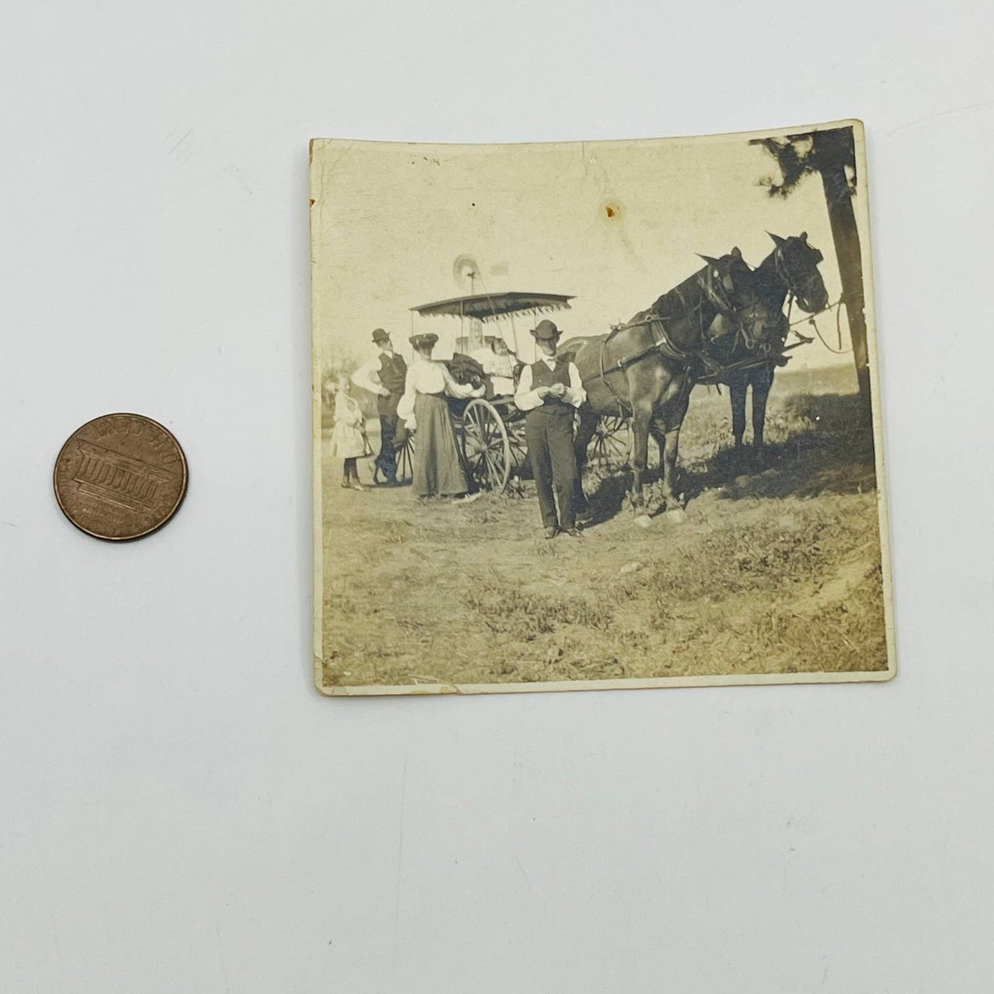 Antique Photograph Victorian Men and Women with 2 Horses Pulling Carriage 3” AA2