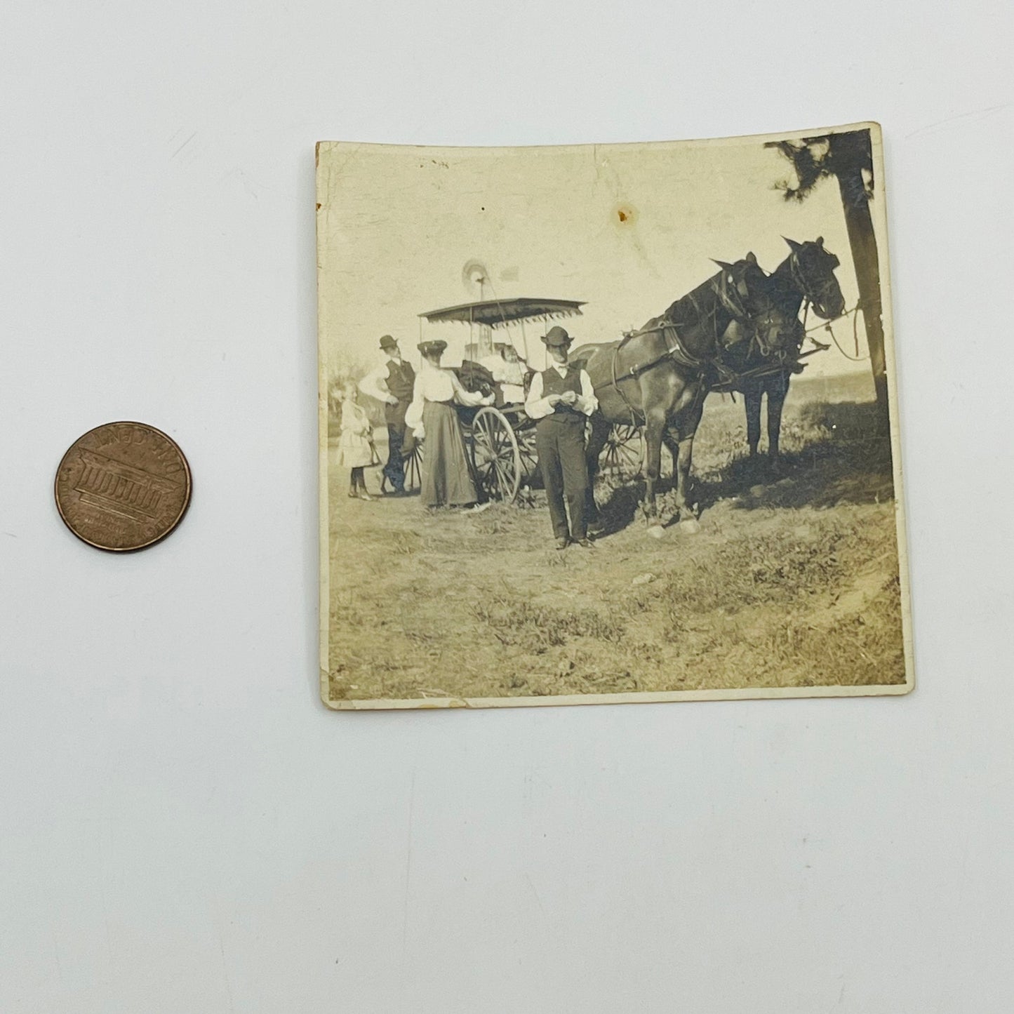 Antique Photograph Victorian Men and Women with 2 Horses Pulling Carriage 3” AH9-M7