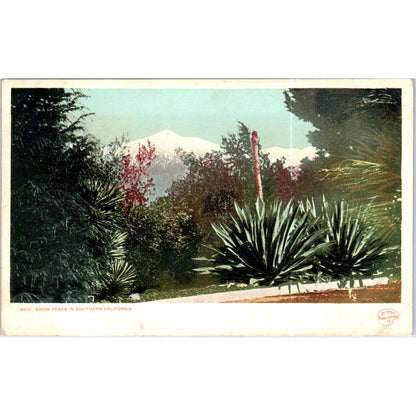 Snow Peaks in Southern California c1906 Original Postcard TK1-P20