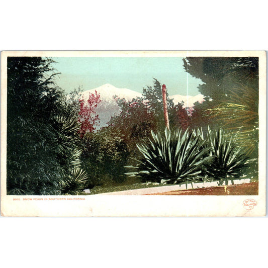 Snow Peaks in Southern California c1906 Original Postcard TK1-P20