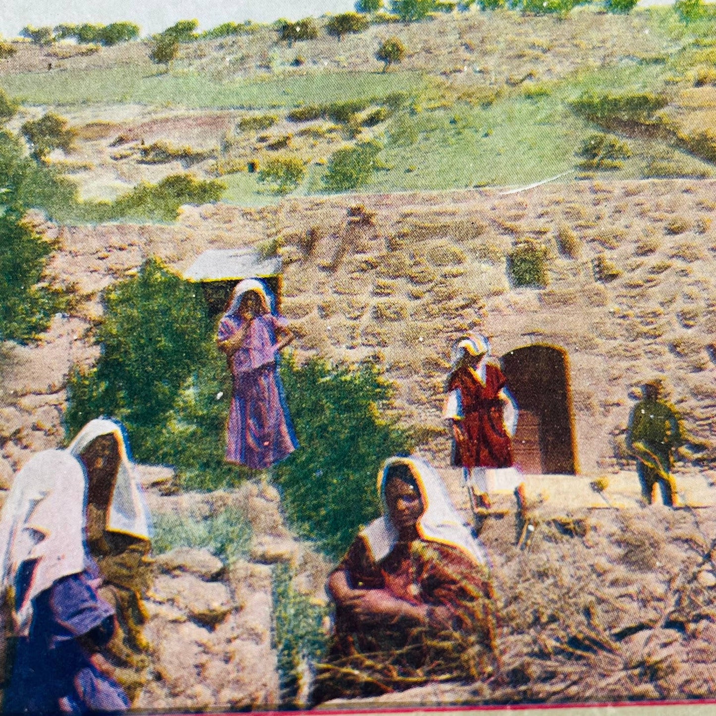 c1890 Lot of 8 Stereoview Cards Pictures PALESTINE JERUSALEM PRE-ISRAEL TA7-26