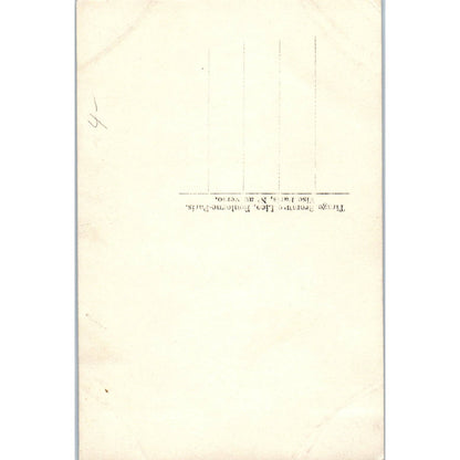 WII French Porte Bonheur Luck 4 Leaf Clover Elephant - Original Postcard TJ9-P1