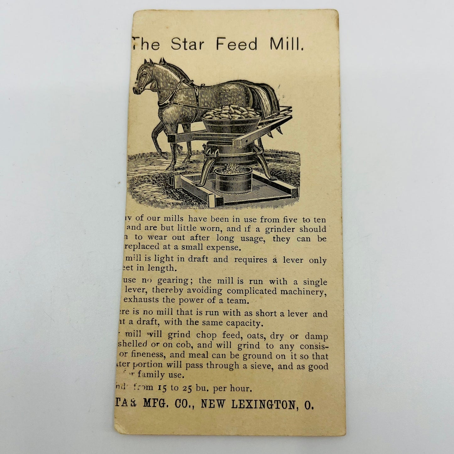 1880s Trade Card Wethersfield Onion Anthropomorphic Bugs Lexington OH AH9-M8