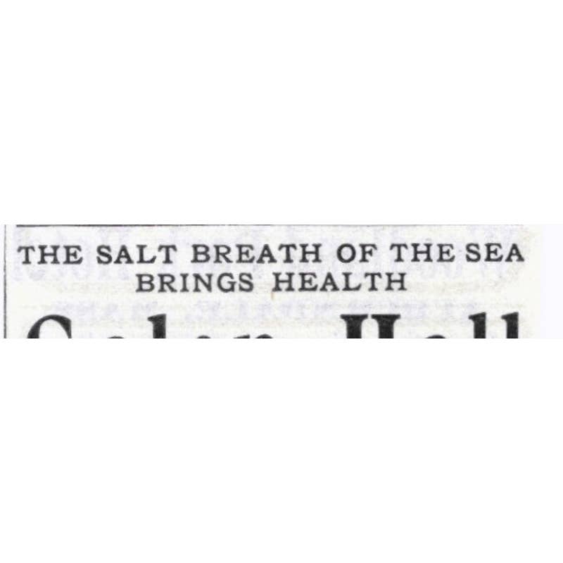 Galen Hall Atlantic City NJ F.L. Young - 1903 Original Ad TJ7-S9