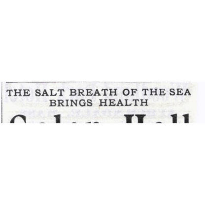 Galen Hall Atlantic City NJ F.L. Young - 1903 Original Ad TJ7-S9