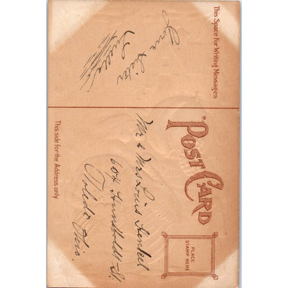Thanksgiving Turkey Fall Harvest c1911 Original Postcard TK1-24