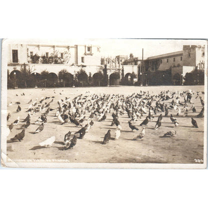 Antique Postcard RPPC Pigeons Panama-California Exposition San Diego 1915 SE8