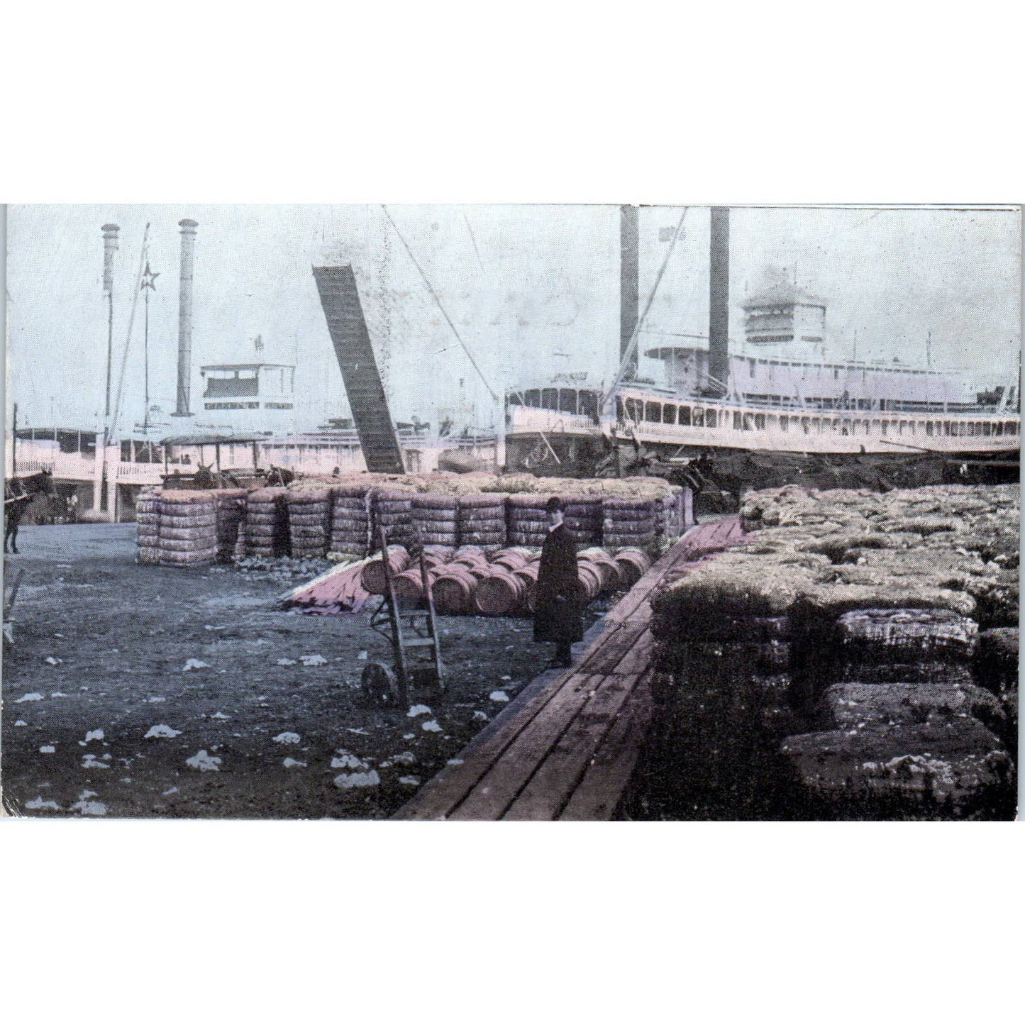 Cotton Wharf New Orleans Louisiana c1910 Original Postcard TK1-27