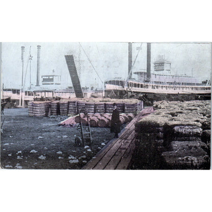 Cotton Wharf New Orleans Louisiana c1910 Original Postcard TK1-27