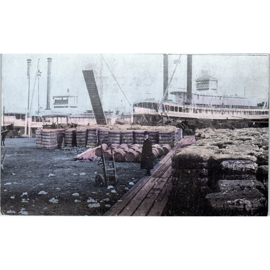 Cotton Wharf New Orleans Louisiana c1910 Original Postcard P1-12