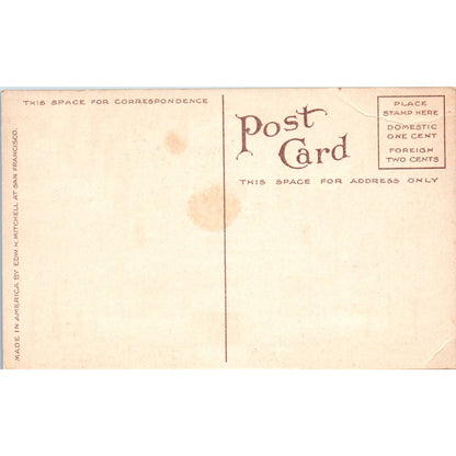 Vintage Postcard St. James Cathedral Interior Seattle Washington TD9