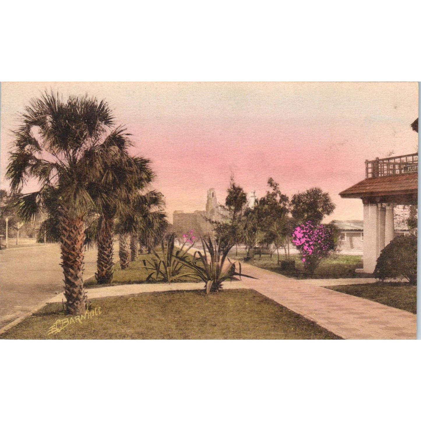 Walk to Vinoy Park St. Petersburg FL Original Postcard TK1-20
