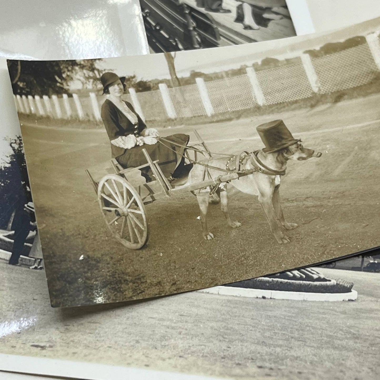 1930s Collection of Photos & Negatives of Gaspe Quebec Canada TJ9-PG1