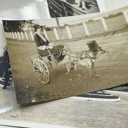 1930s Collection of Photos & Negatives of Gaspe Quebec Canada TJ9-PG1