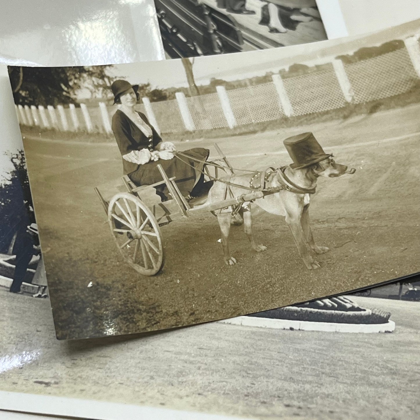 1930s Collection of Photos & Negatives of Gaspe Quebec Canada P4-10