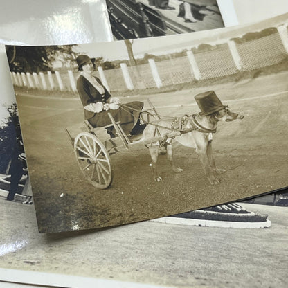 1930s Collection of Photos & Negatives of Gaspe Quebec Canada P4-10