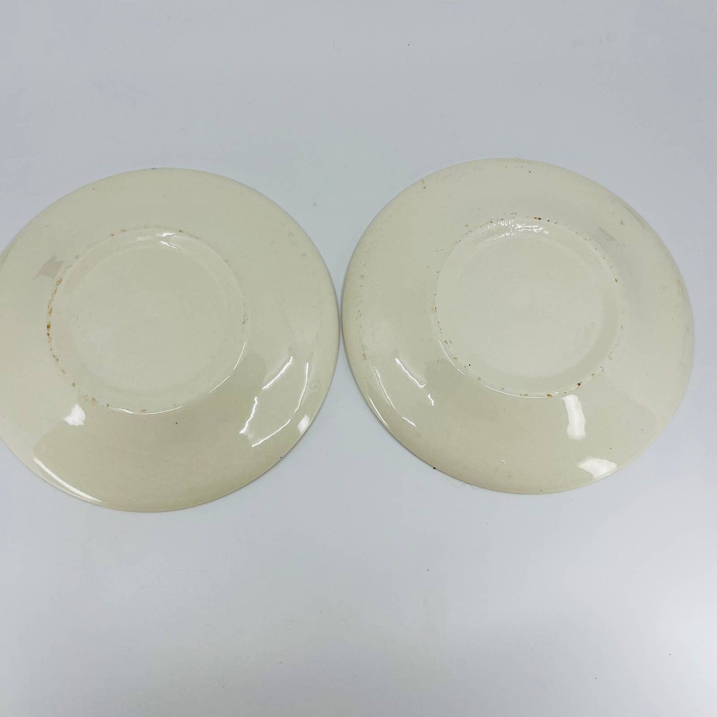 1960s Memory Lane Royal Ironstone Underglazed Saucer HARVEST 6” Set of 2 TD1