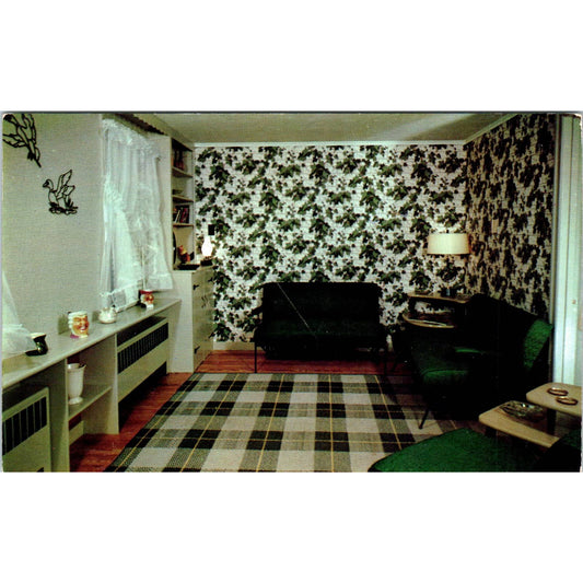 Vintage Postcard Brookside Cottage at Paradise Valley Lodge Mt. Pocono PA TD8-P2