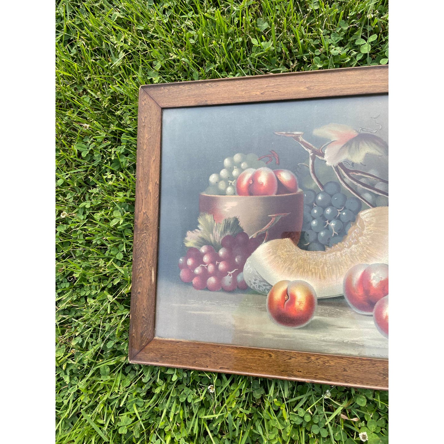 Antique Vintage H Hadland Chromolithograph Print Wall Art Framed