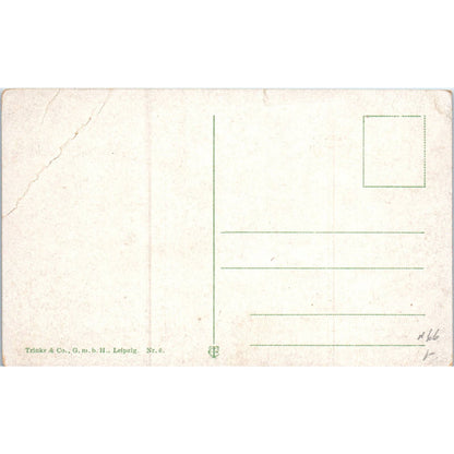 Ehrenbreitstein mit Schiffbrücke bei Coblenz a. Rhein Original Postcard TK1-P19