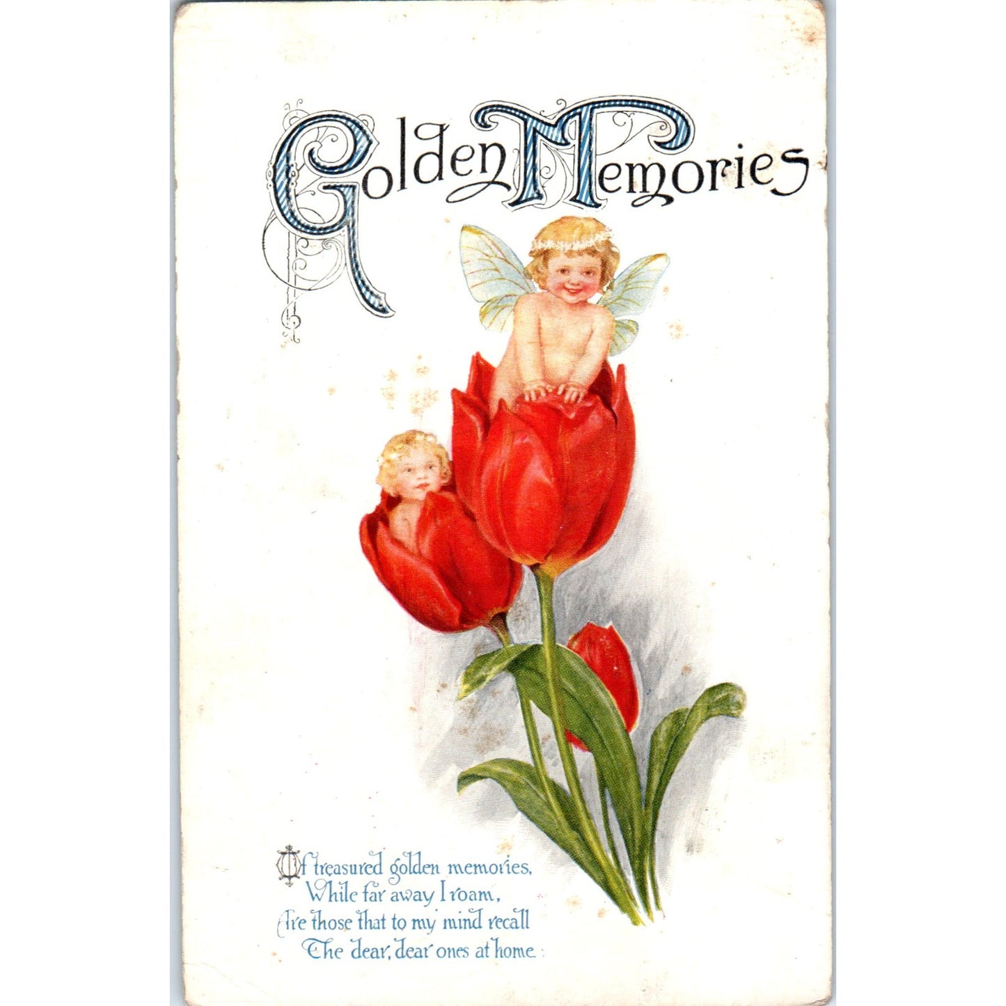 Fairies Face in Flower Tulips Winsch Back 1917 Original Postcard P1-12