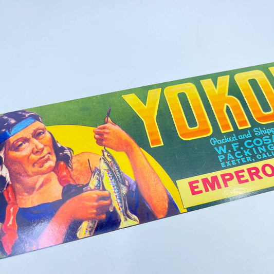 Original Unused Yokohl Fruit Crate Label Native American Indian Fishing FL3