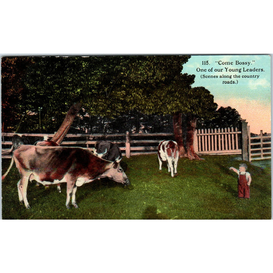 Child Herding Cow "Come Bossy" c1910 Original Postcard P2-1