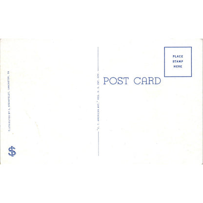 Vintage Postcard Mennonite and Amish of Lancaster County PA TD9-P1