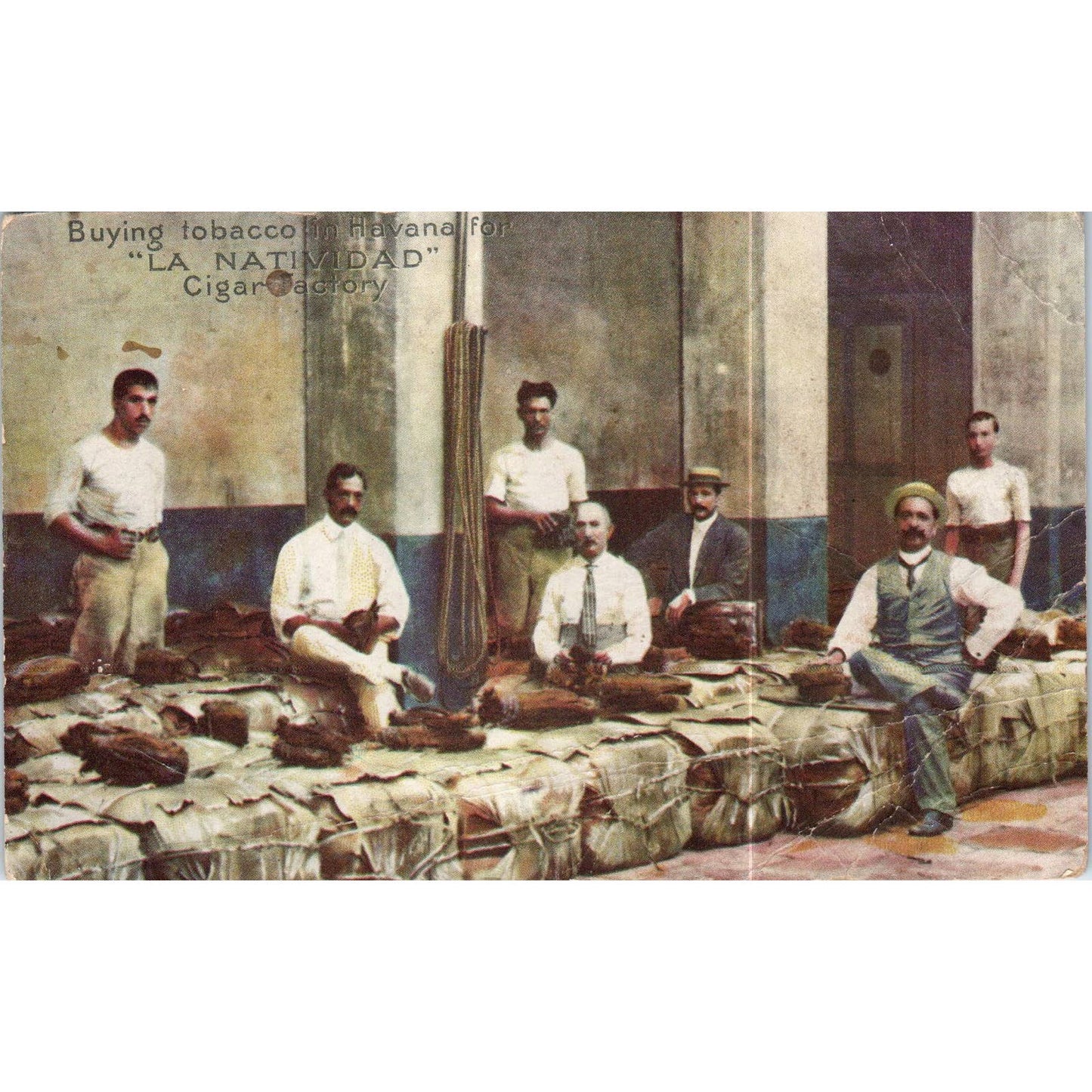 Buying Tobacco La Natividad Cigar Factory Havana Cuba Original Postcard TK1-P16