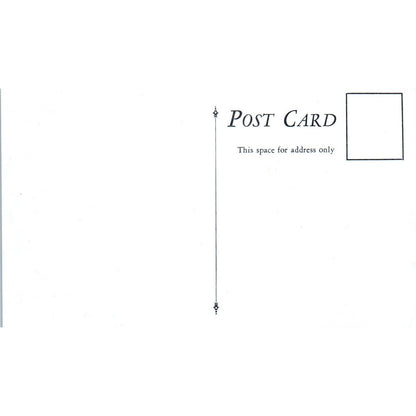 Fritz Johnson's Log Cabin Danbury Wisconsin RPPC Original Postcard TJ9-P3